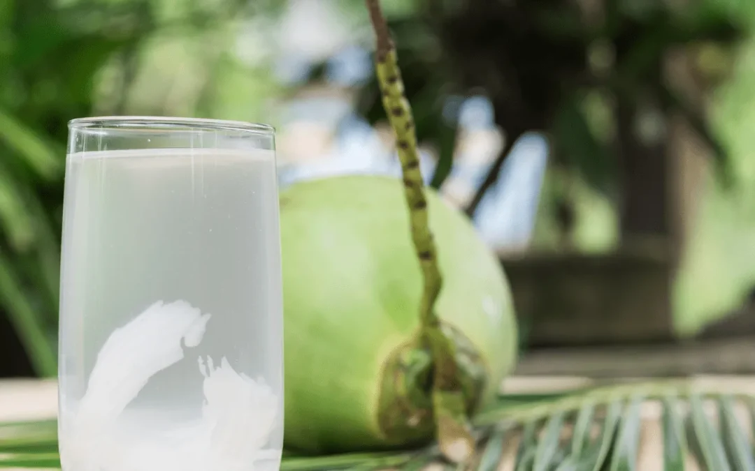 Eau de coco : bienfaits pour la santé et le bien-être