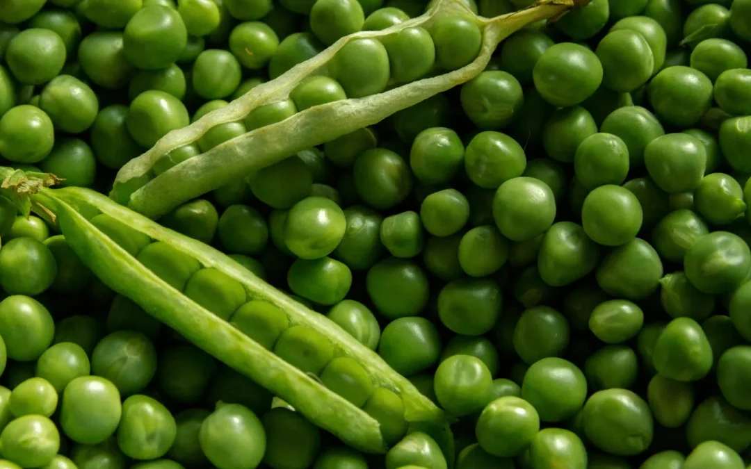 Recettes délicieuses avec des petits pois