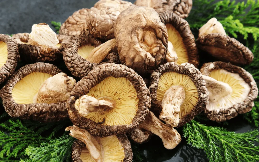 Champignons shiitake : qu&rsquo;est-ce que c&rsquo;est, propriétés et recettes