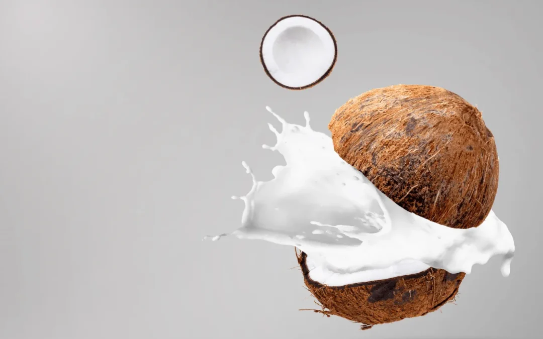 Le Lait de coco : tout savoir sur ses propriétés 