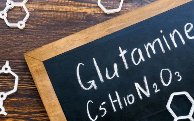 Glutamine : tout ce que vous devez savoir