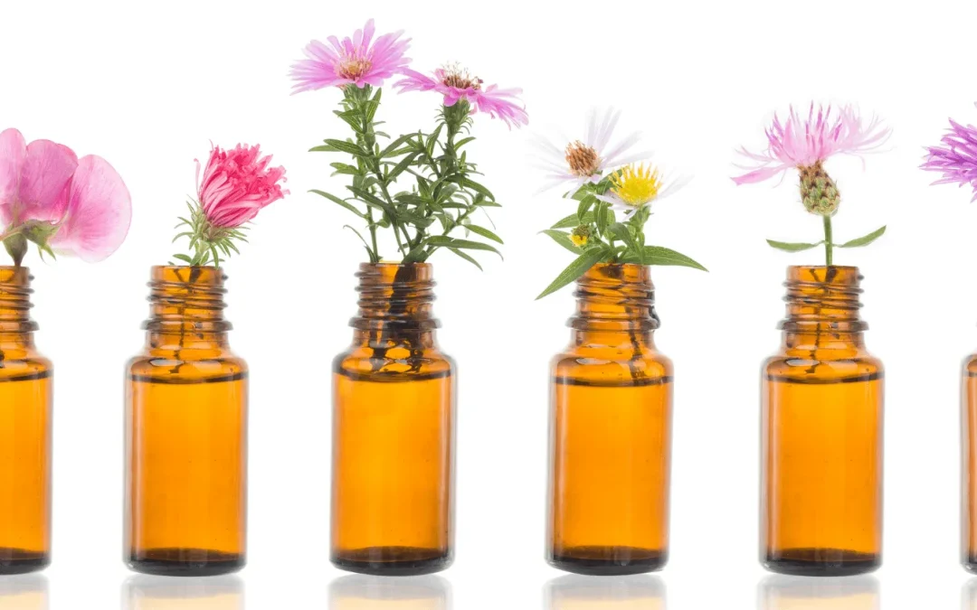 Élixirs floraux de Bach : usages, effets secondaires et précautions