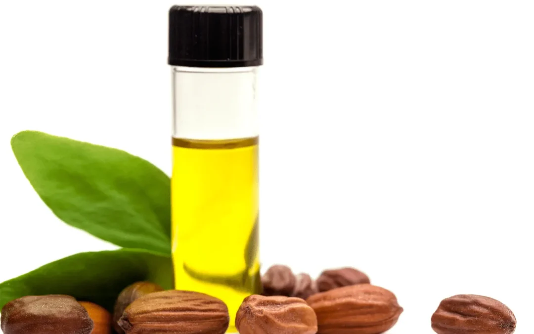 Huile de jojoba : avis des dermatologues