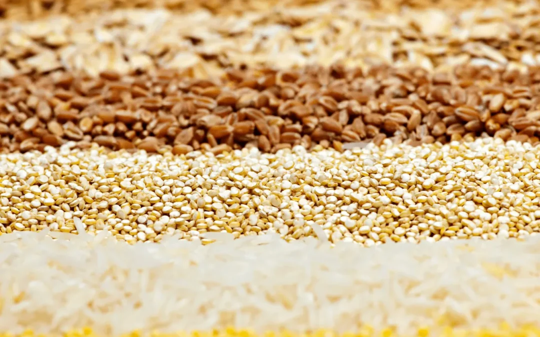 Quelle quantité de graines par jour pour une alimentation optimale ?