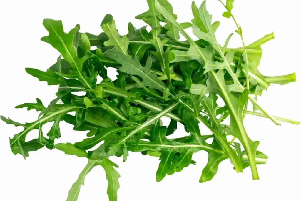 Bouquet de roquette fraîche : feuillage dentelé, vert intense, saveur poivrée prête à twister une salade ou relever un plat.