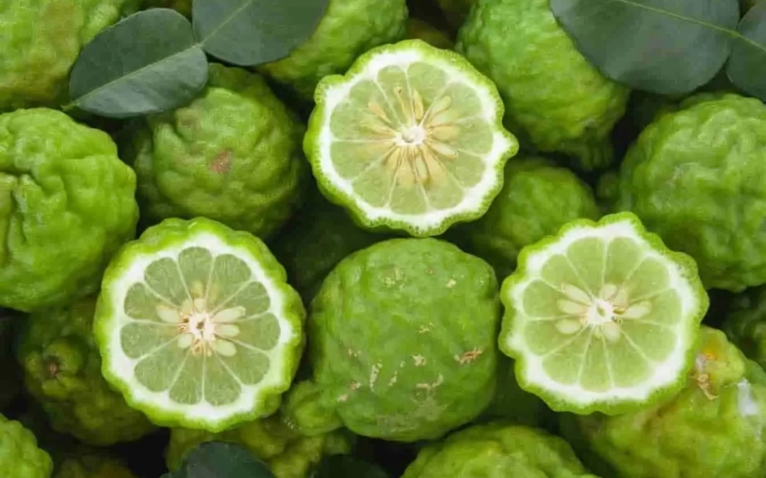 Les dangers de la bergamote : un agrume à consommer avec précaution