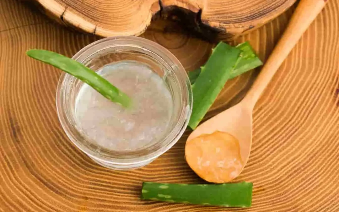 Aloe vera : dangers réels et précautions à prendre