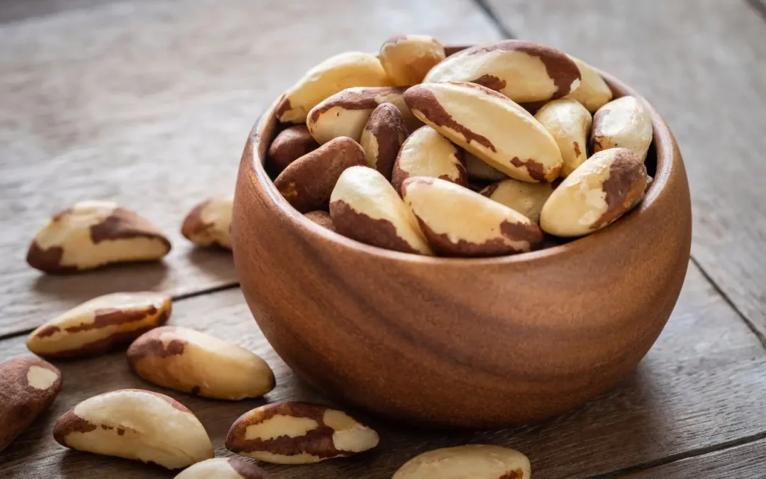 Noix du Brésil : Bienfaits, dangers, posologie (sélénium) et où acheter
