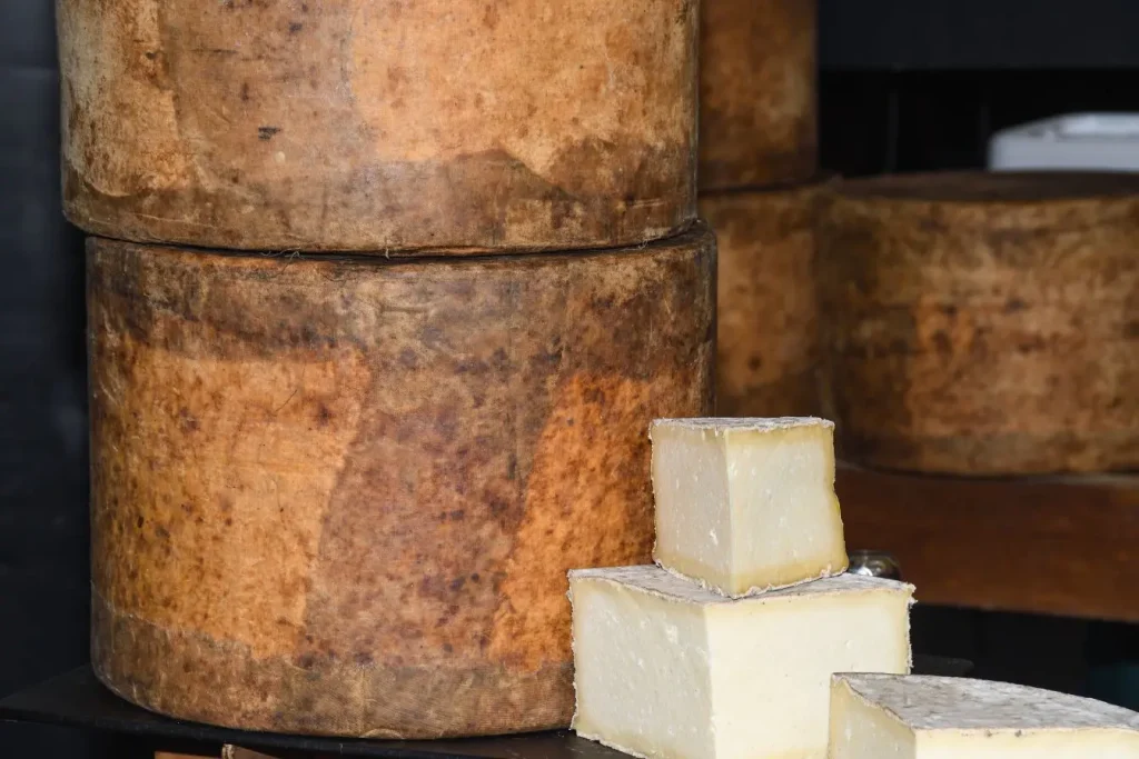 Meules de fromage à croûte brune avec morceaux coupés, image illustrant un affinage à base de lait de brebis