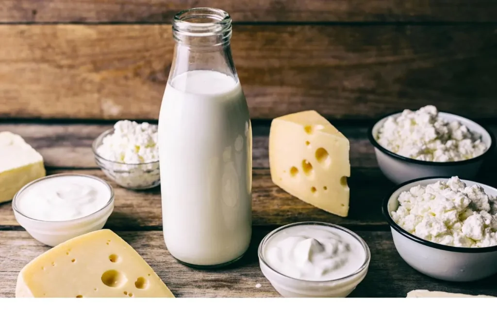 Produits laitiers variés sur bois brut illustrant une alimentation méditerranéenne riche en calcium et en probiotiques