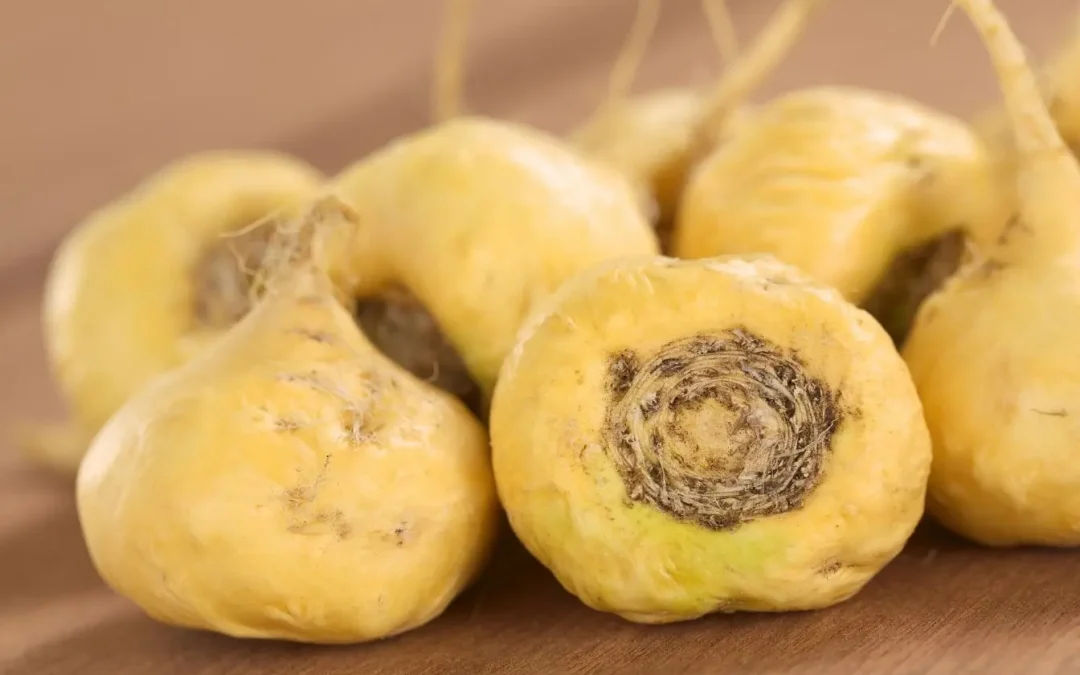 Maca du Pérou : bienfaits, dangers et guide complet pour bien la choisir