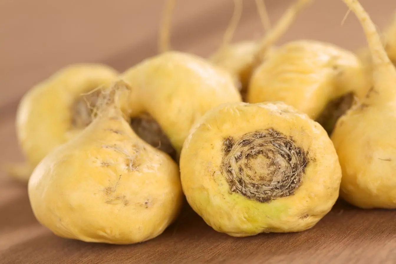 Racines de maca du Pérou posées sur bois, tubercules jaunes à texture fibreuse et forme arrondie