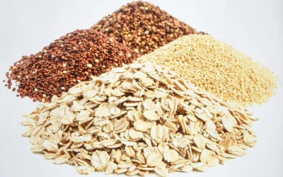 Quinoa complet ou raffiné : lequel choisir pour votre santé ?