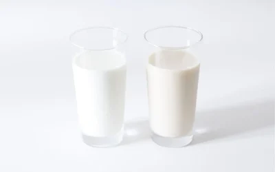 Kéfir de lait ou kéfir d’eau : comment choisir la meilleure boisson fermentée ?