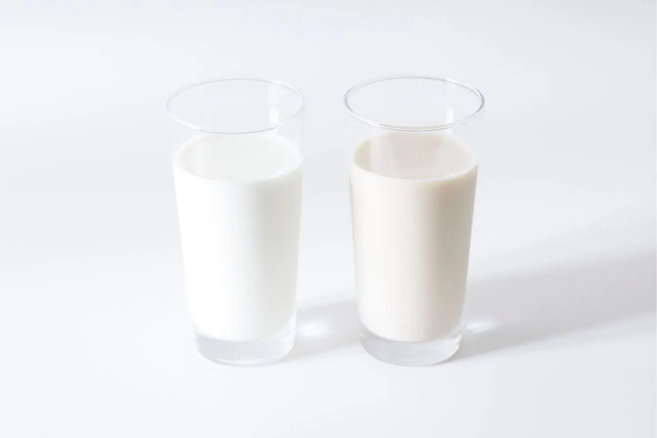 Deux verres remplis de kéfir de lait aux teintes blanches et crémeuses posés sur un fond blanc pour illustrer les bienfaits des boissons fermentées maison.
