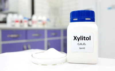 Xylitol : entre bienfaits pour la santé et dangers potentiels, le guide complet