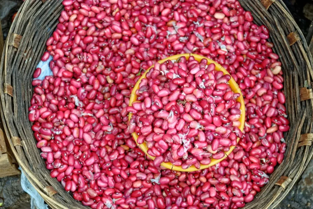 Grand panier rempli de haricots rouges brillants, image évoquant une alimentation riche en fibres pour aider à réguler le cholestérol.