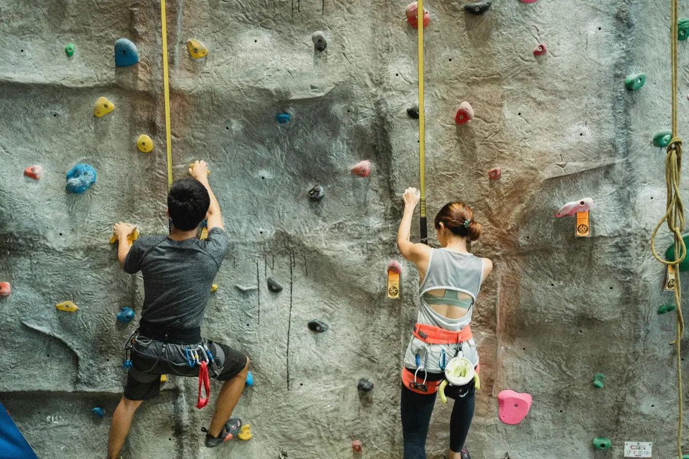 Deux grimpeurs sur mur artificiel coloré, image illustrant l’escalade et les muscles sollicités.