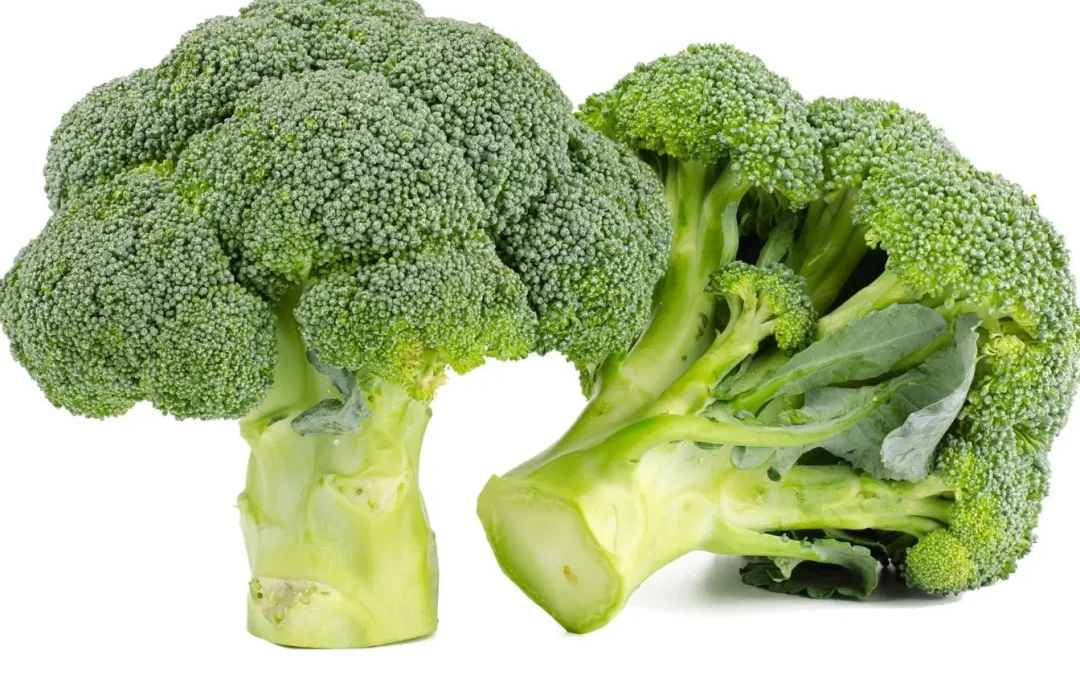 Dominance en œstrogènes : comprendre les symptômes et agir par l&rsquo;alimentation