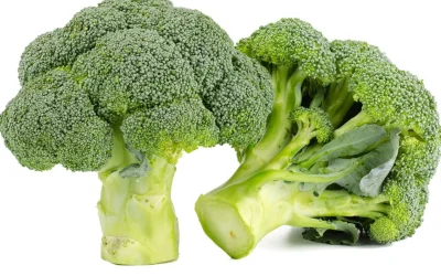 Dominance en œstrogènes : comprendre les symptômes et agir par l’alimentation