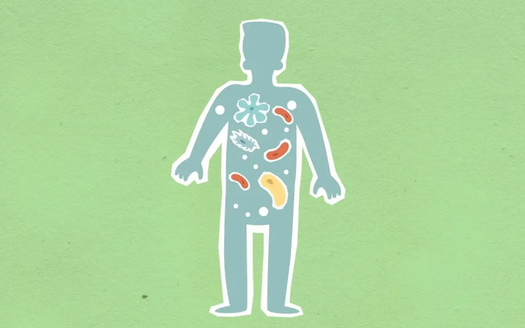 Microbiote intestinal et immunité : le lien crucial pour votre santé
