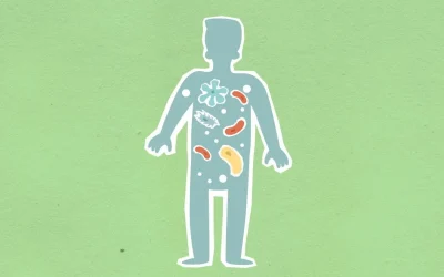 Microbiote intestinal et immunité : le lien crucial pour votre santé