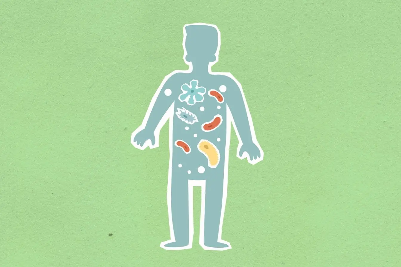 Silhouette humaine remplie de microbes colorés, image qui illustre le rôle du microbiote intestinal dans la protection de l’immunité et la santé globale.