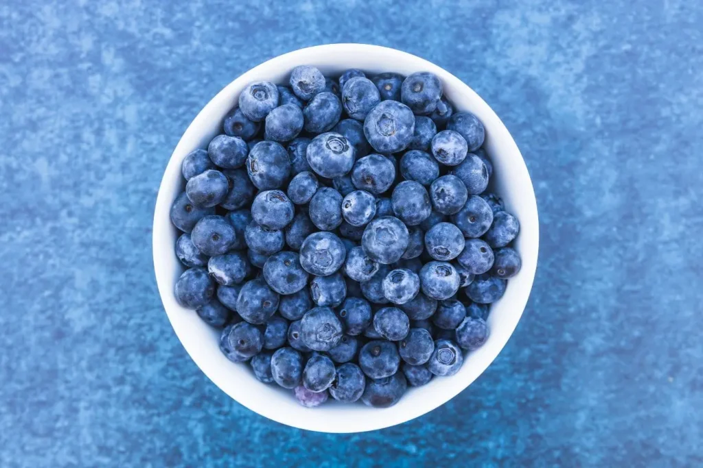 Myrtilles bleues disposées dans un bol, reflet des nutriments essentiels comme les anthocyanines bénéfiques pour la vision.