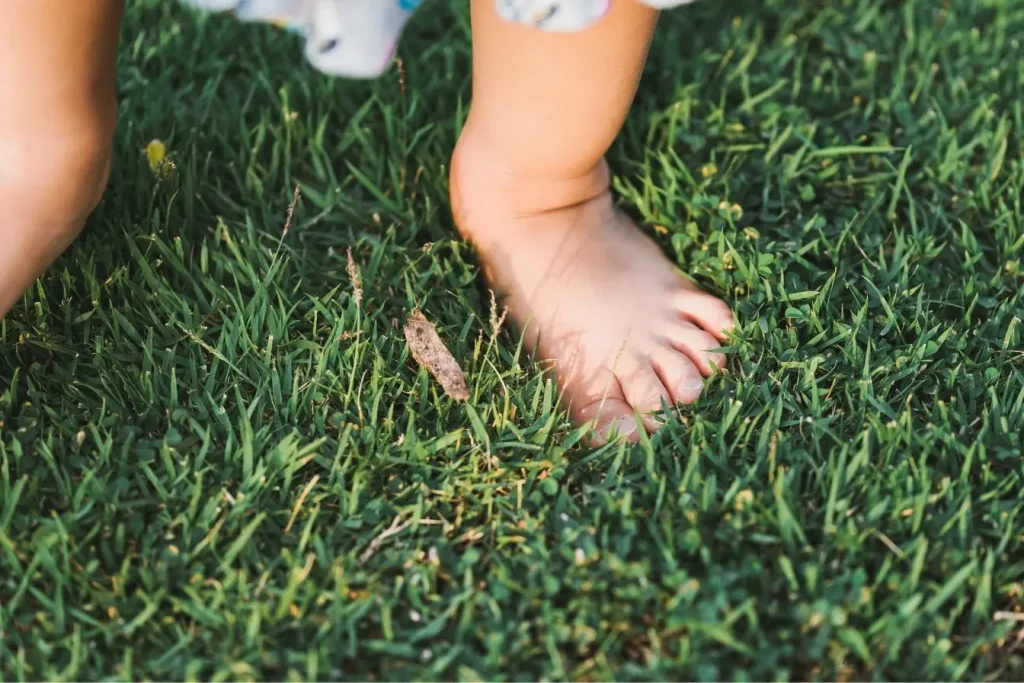 Pieds sur gazon verdoyant avec feuilles sèches, image qui traduit les bienfaits du grounding validés par la science.