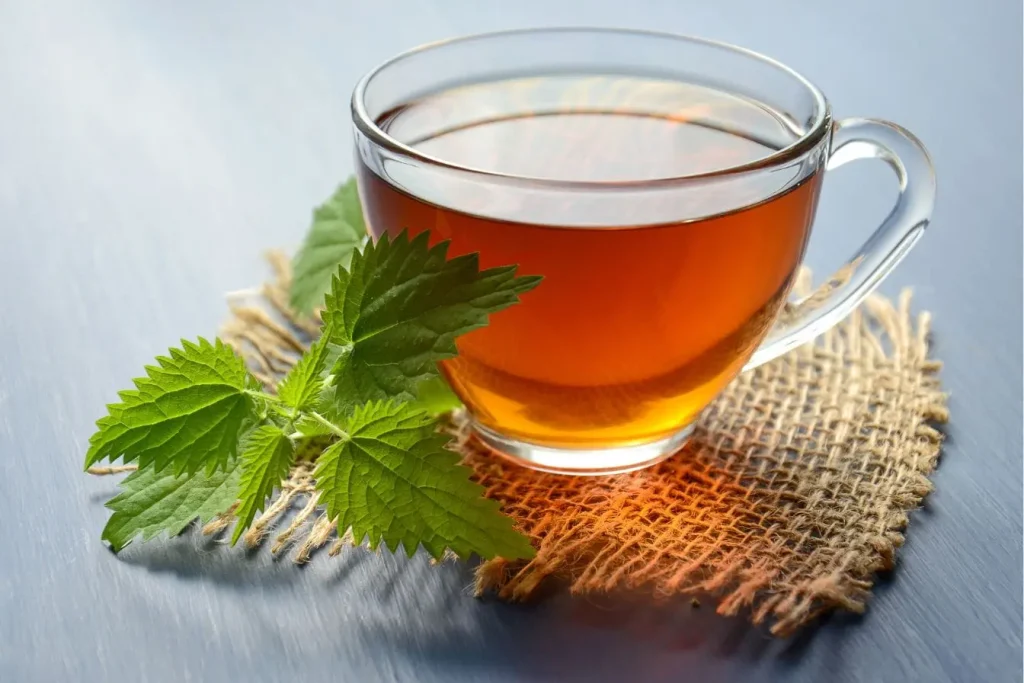 Tasse de tisane ambrée posée sur toile de jute avec feuilles d’ortie fraîches, image qui illustre un remède naturel pour apaiser un transit intestinal lent.