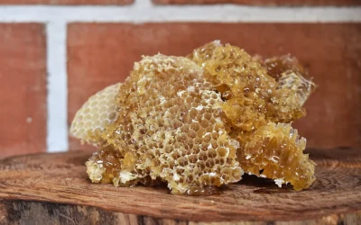 Les bienfaits de la propolis : vertus, utilisations et conseils de cure