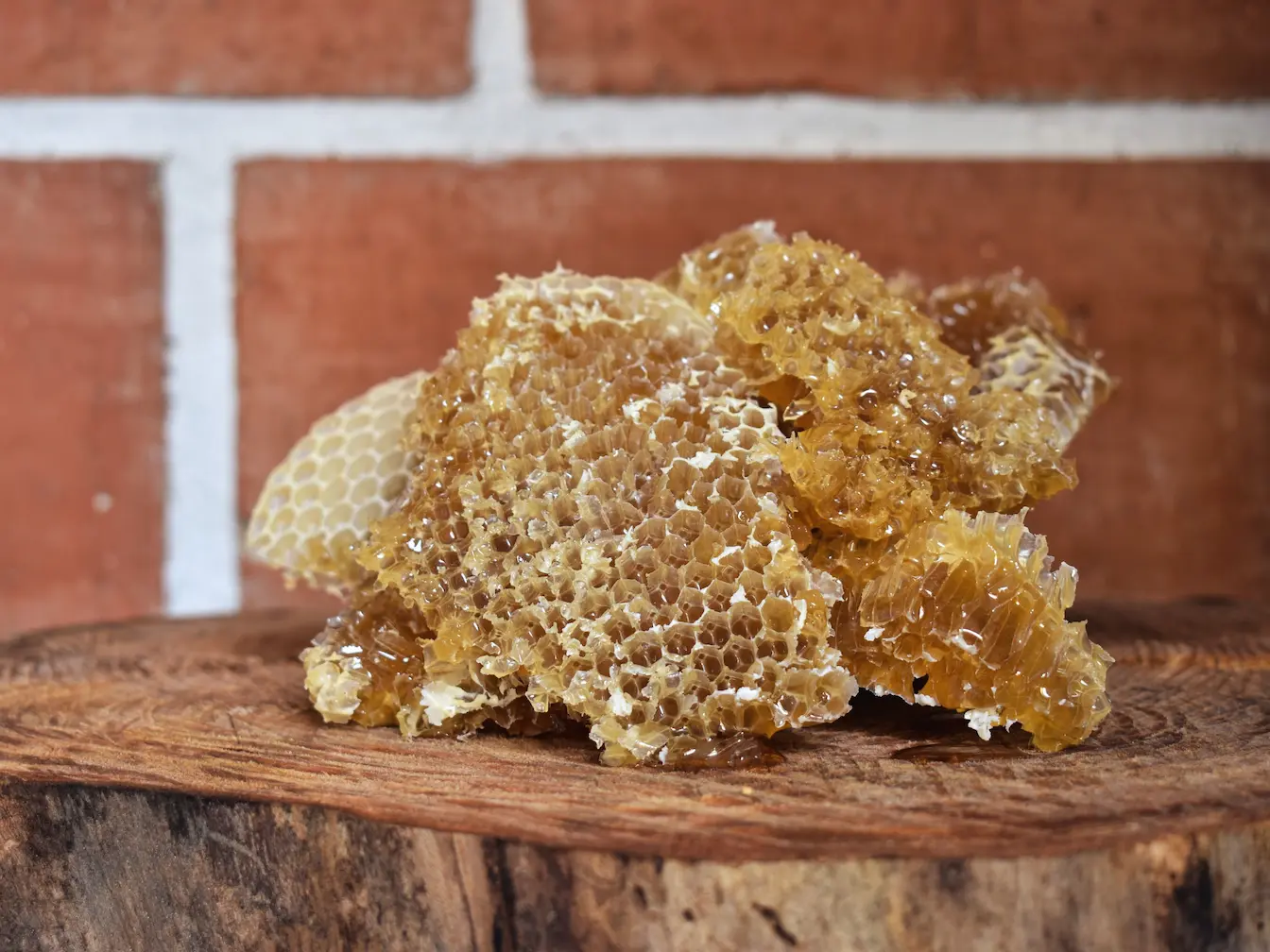 Gros plan sur des alvéoles de miel dorées, image évoquant les bienfaits de la propolis pour renforcer l’immunité et protéger la santé.