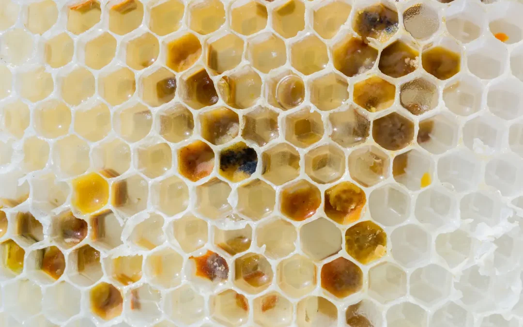 Les bienfaits de la gelée royale : vertus, cure et mode d’emploi