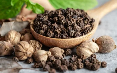 Curcuma et poivre noir : pourquoi et comment optimiser l’absorption de la curcumine ?