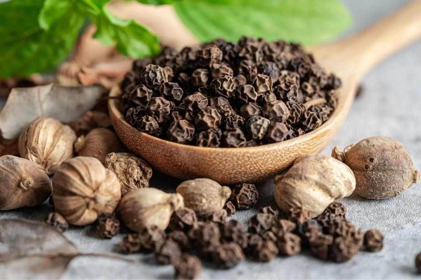 poivre noir Cuillère en bois remplie de grains de poivre noir entourée de noix de muscade et feuilles, reflet des bienfaits du curcuma associé au poivre noir pour absorption.
